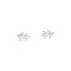 עגילי זרעי חרדל