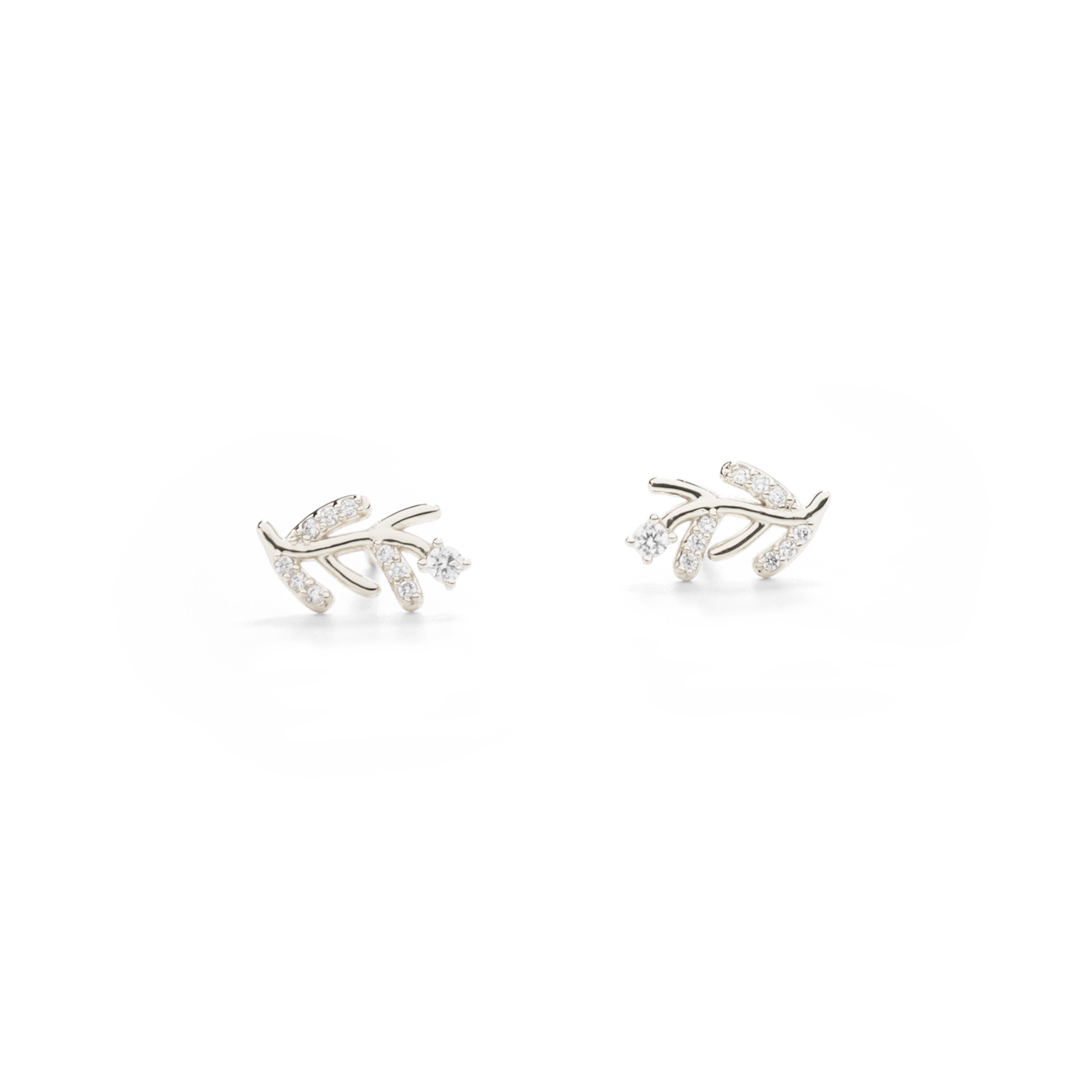 עגילי זרעי חרדל