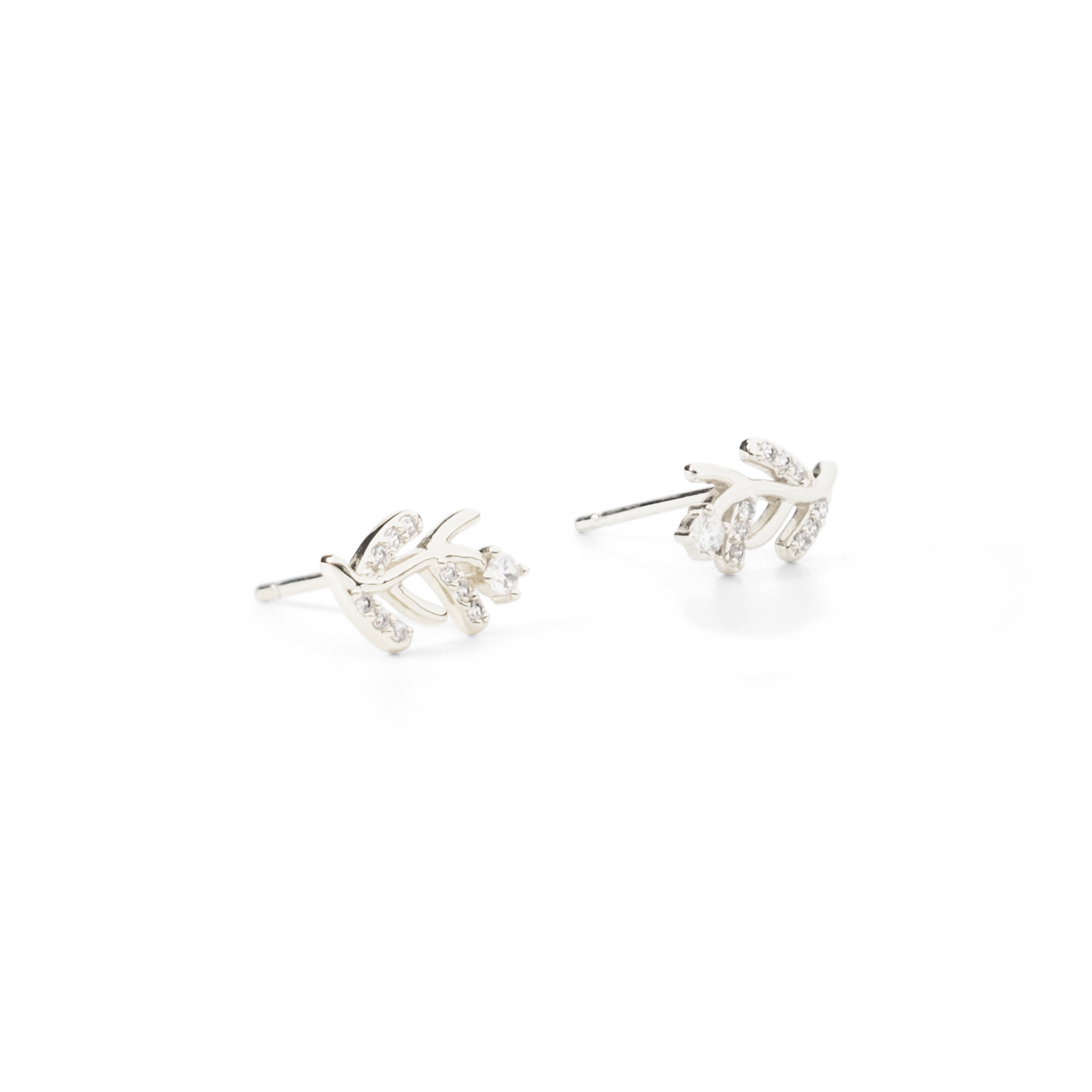 עגילי זרעי חרדל