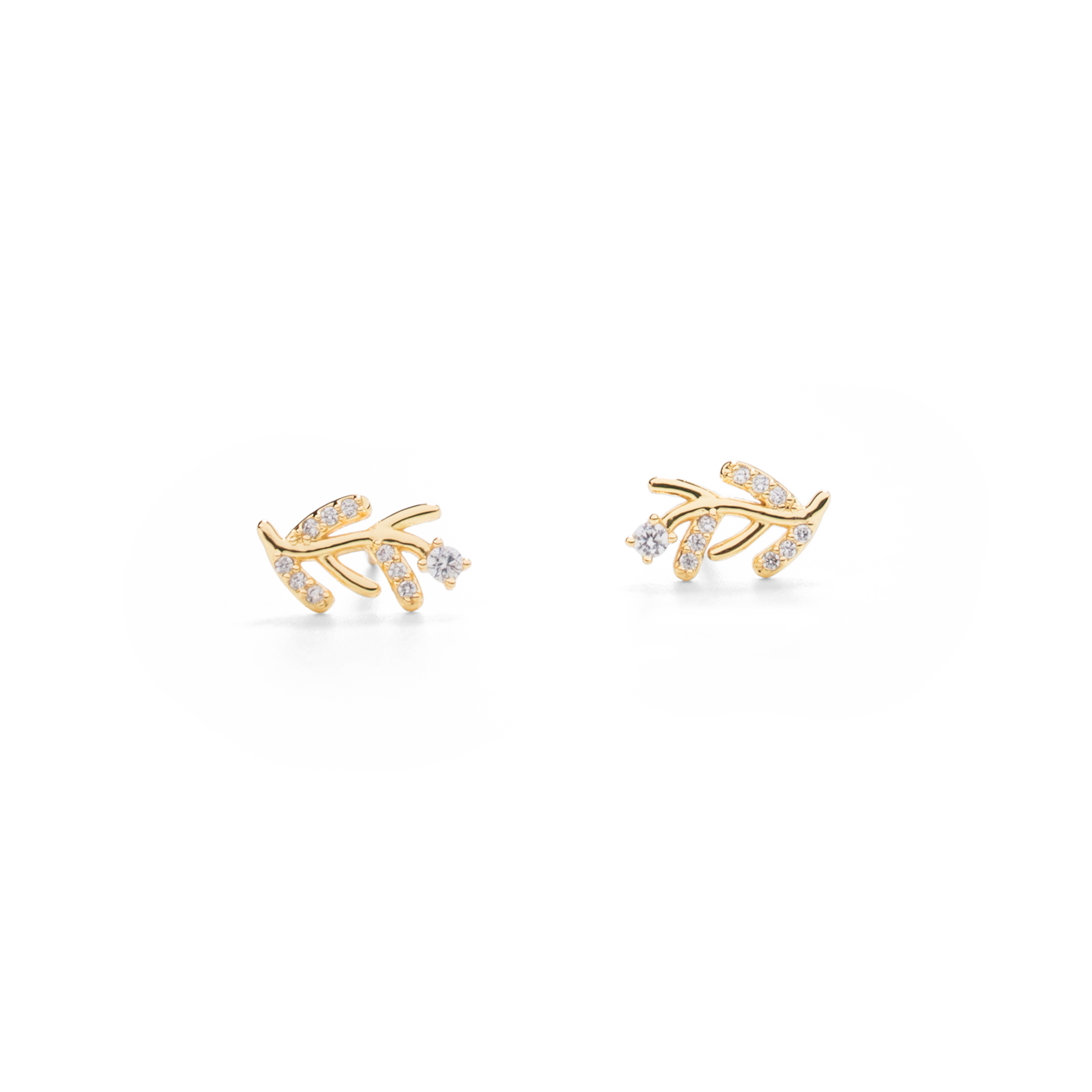 עגילי זרעי חרדל