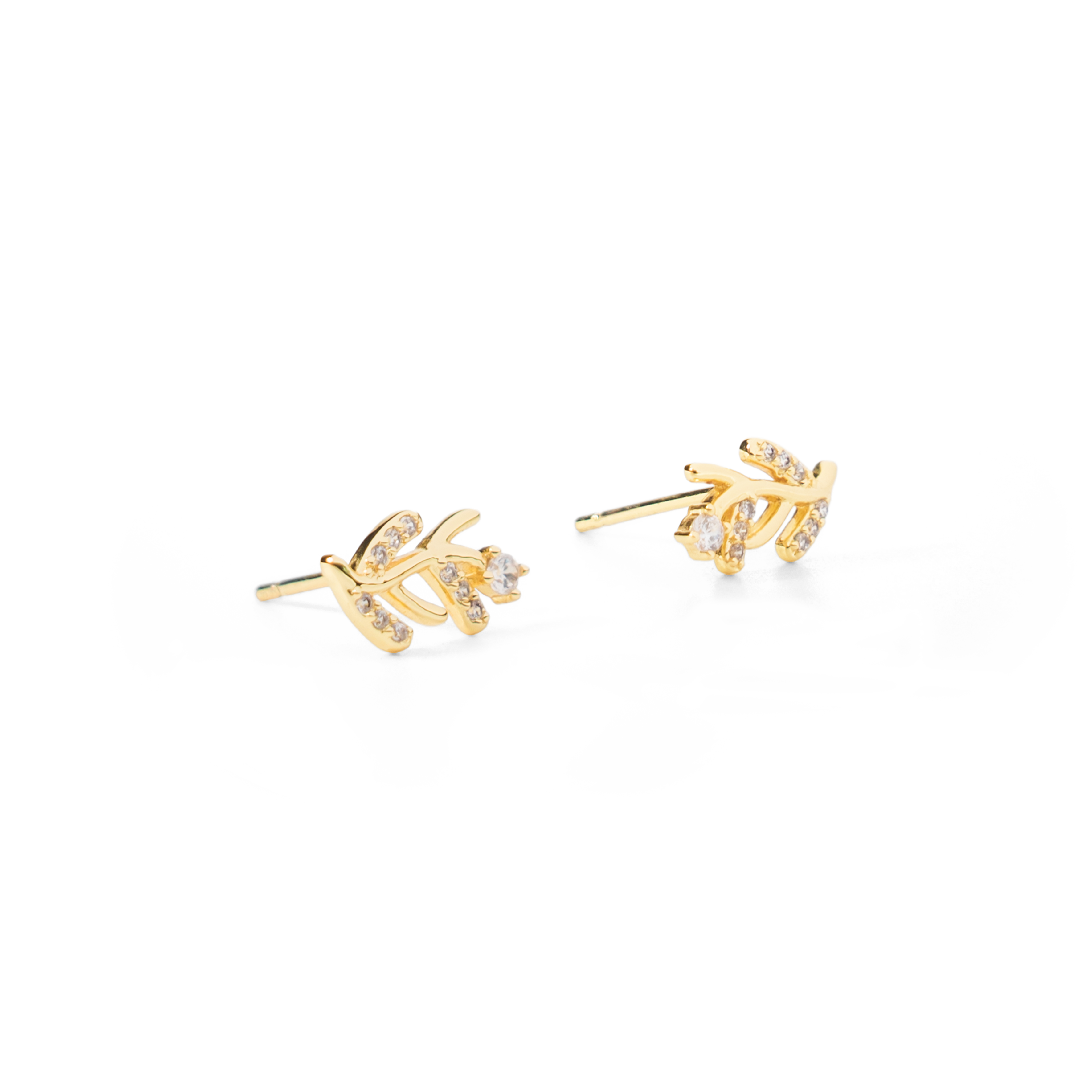 עגילי זרעי חרדל