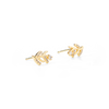 עגילי זרעי חרדל