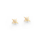 עגילי העצמה