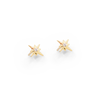 עגילי העצמה