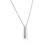 שרשרת צעדים לחופש