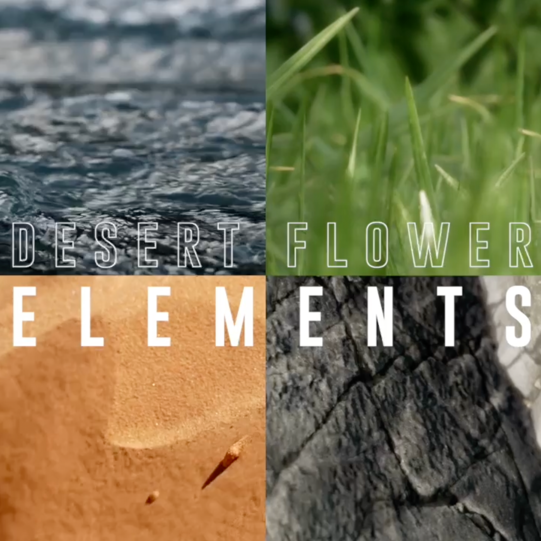 https://player.vimeo.com/video/769813845/f0b52e6f2d